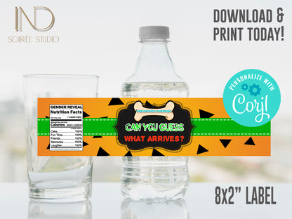 Prehistoric Caveman Gender Reveal Invitation & Party Bundle | Stone Age Editable Printable Corjl Template | Instant Download